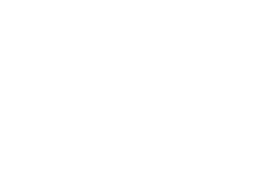 Musk Engineering